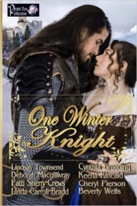 one-winter-knight